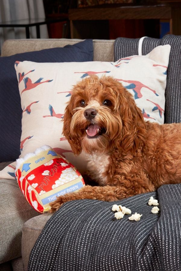 Bark Sniffy Pop! Pupcorn Dog Toy