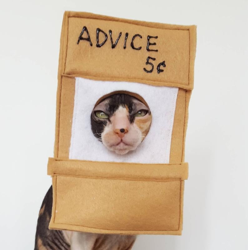 Best Cat Costumes For Halloween 2019 Popsugar Pets