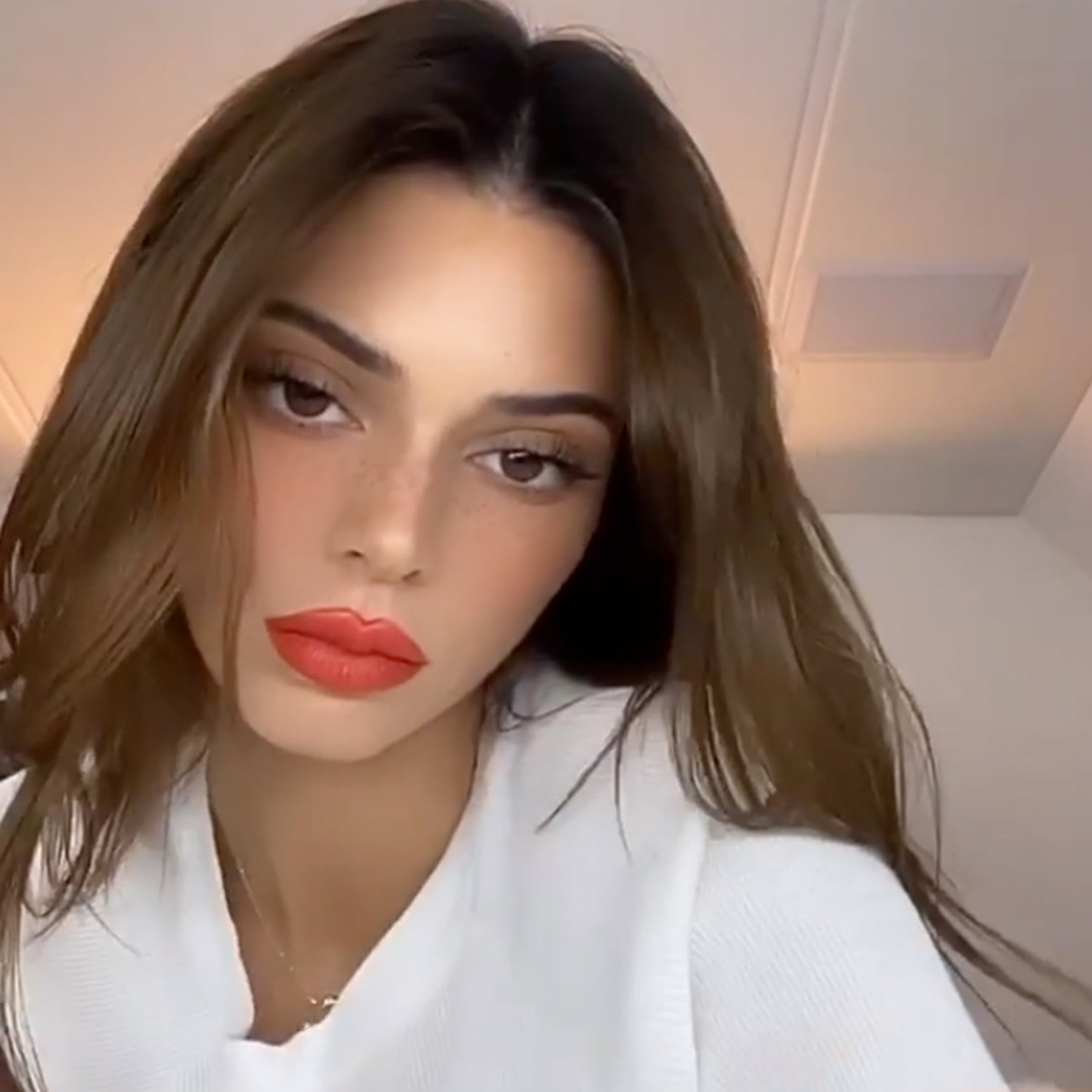 Kendall Jenner Auburn Hair Colour See The Photos Popsugar