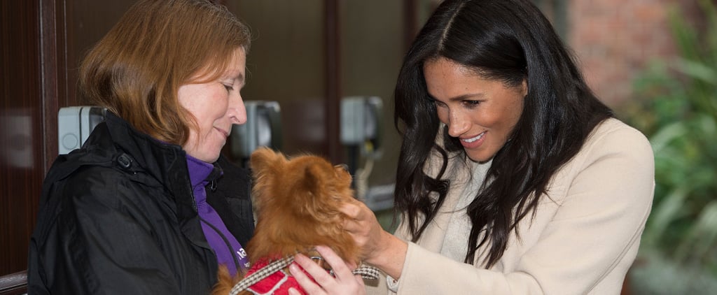 Meghan Markle Visits Mayhew January 2019