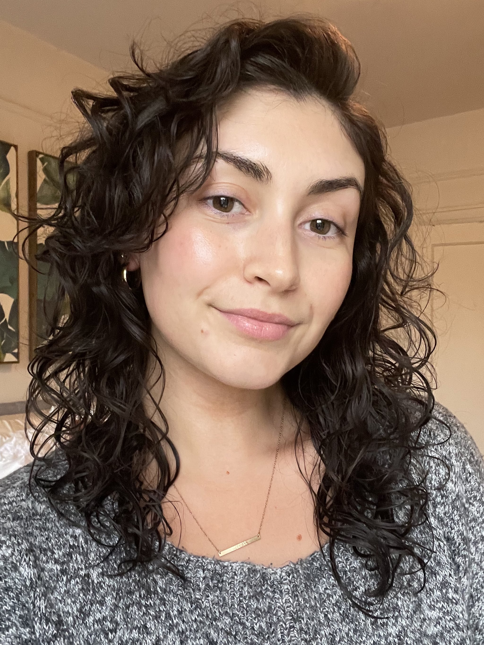 NET PLOPPING AND WET PLOPPING CURLY HAIR (as seen on TikTok) 