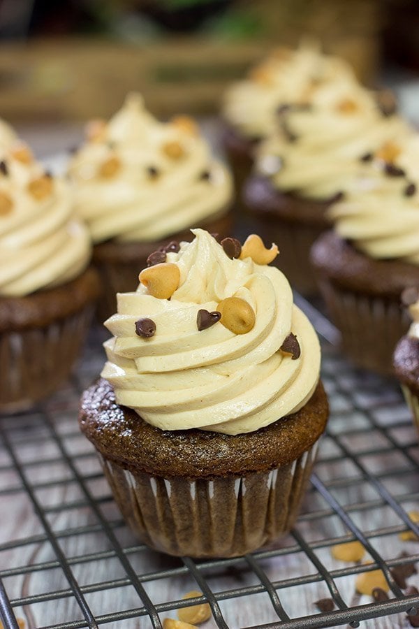 Chocolate Peanut Butter Cupcakes