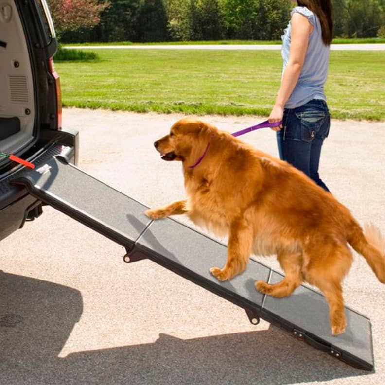 Good2go pet hot sale ramp