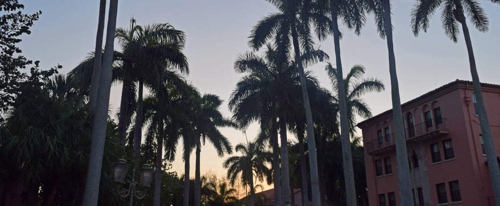 Reasons to Go to Palm Beach, FL