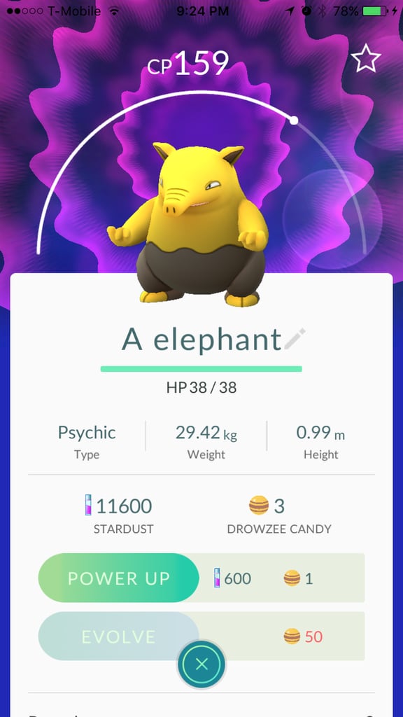 Drowzee aka "A elephant"