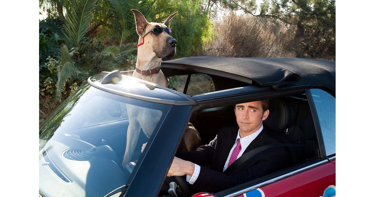 "Marmaduke" (2010) Lee Pace's Best Movie and TV Roles POPSUGAR