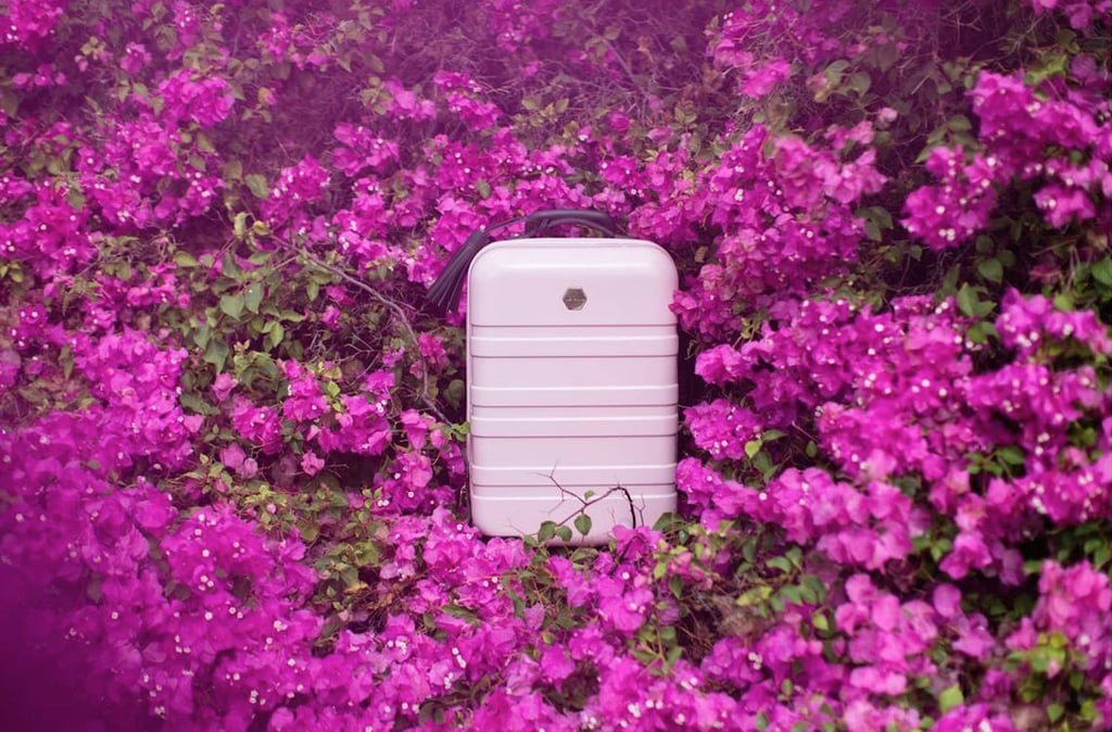 DesignLoveFest Luggage For Target