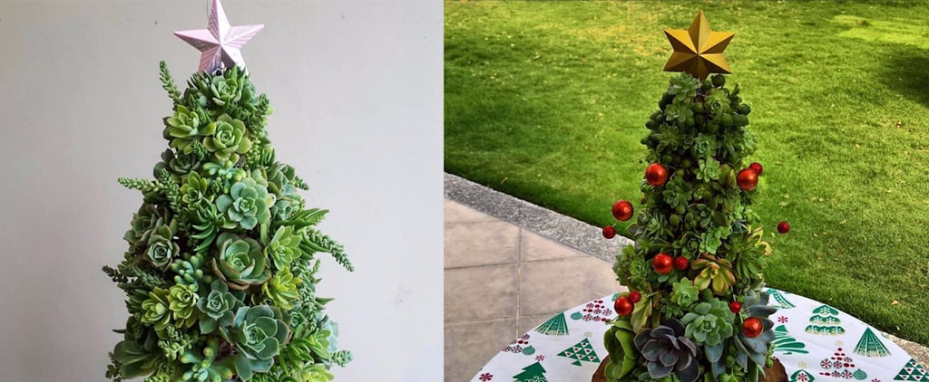 Succulent Christmas Tree Ideas