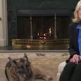 Jill Biden Makes a Necessary Face Mask PSA — With Help From Champ and Major!