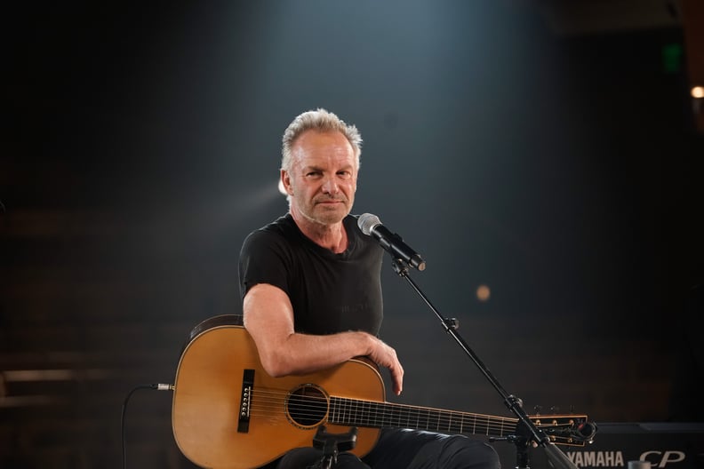 Sting(1991)