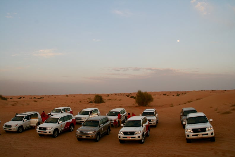 Evening: Desert