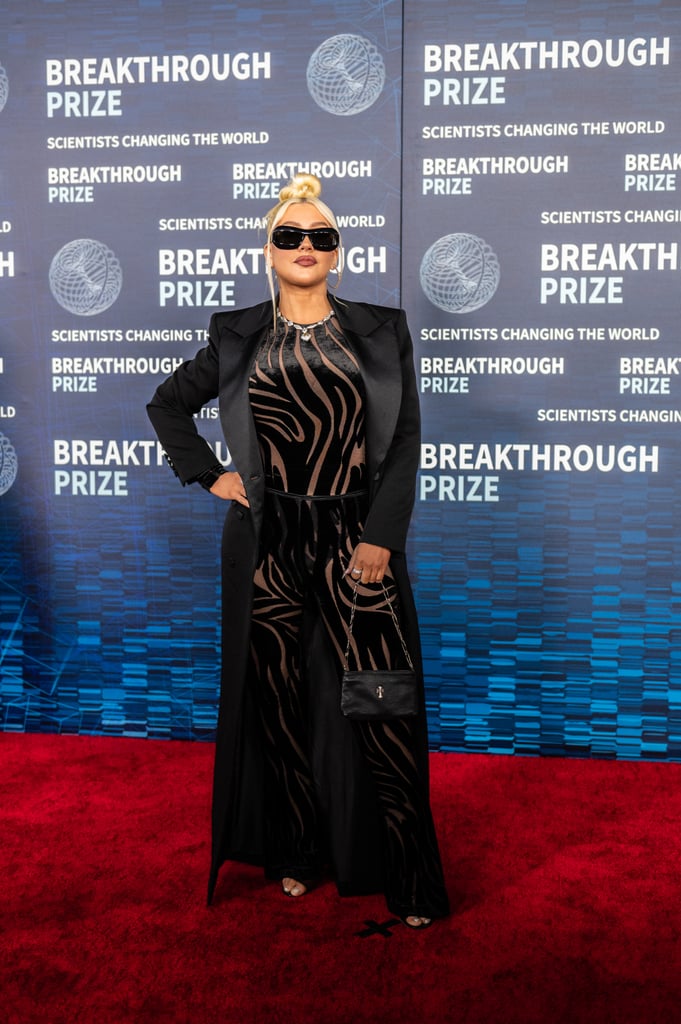Christina Aguilera Wears Sheer Zebra-Print Versace Catsuit