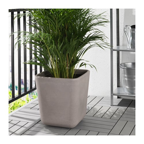 Beige Plant Pot ($30)