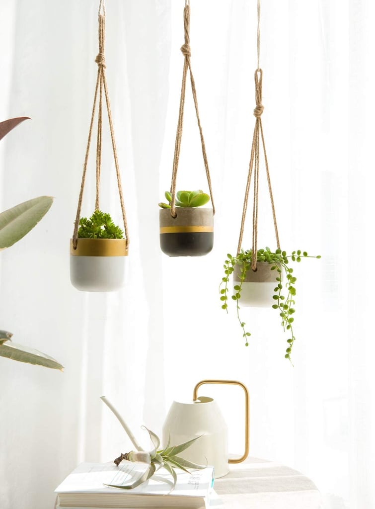 Dahey 3 Pack Small Cement Hanging Planters