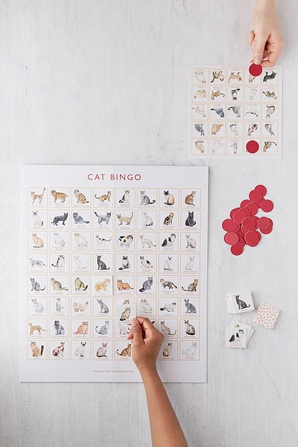 Cat Bingo