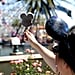 How to Save Money on Food at Disney Parks