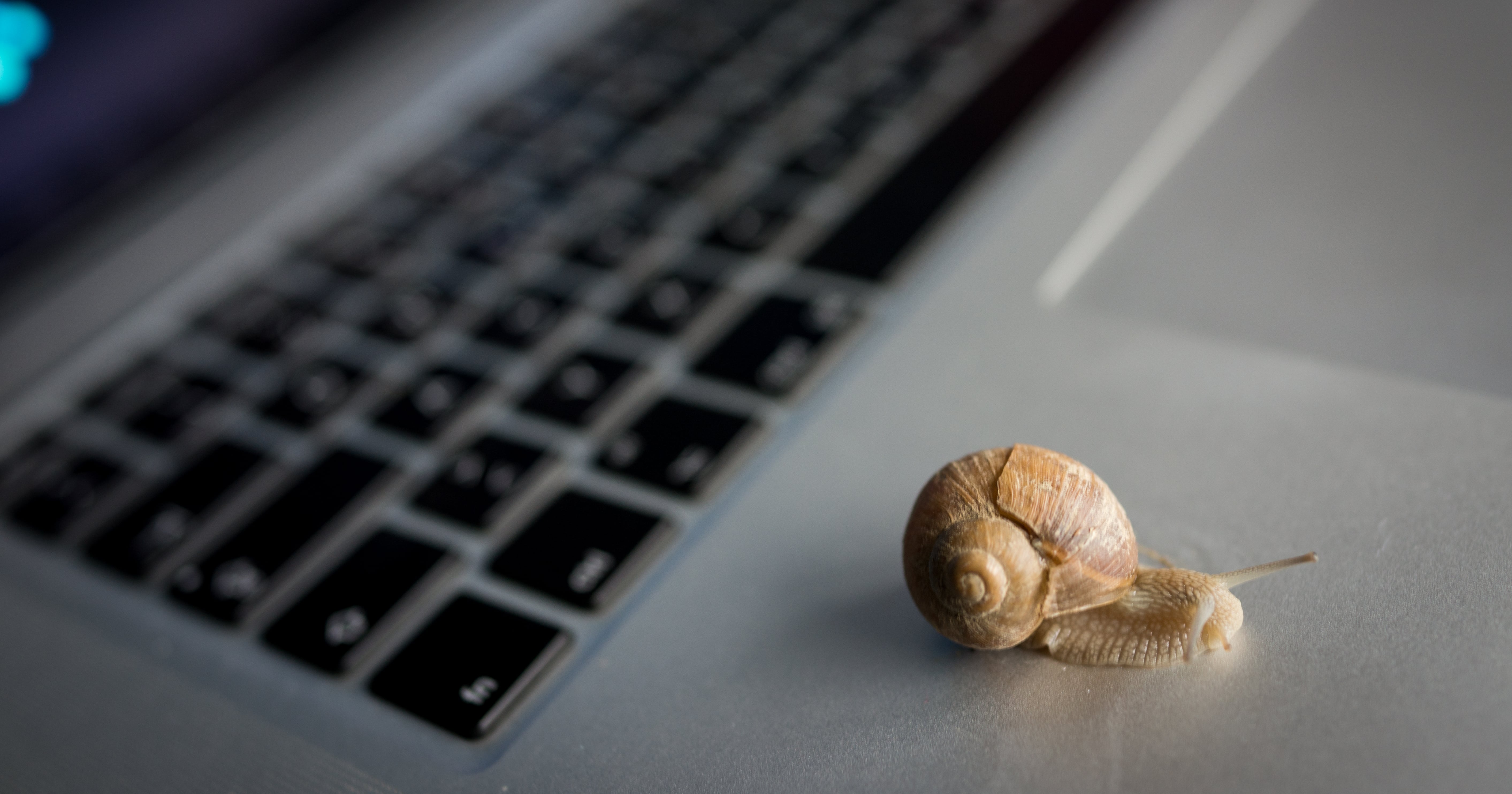 What Is the Snail Trend on TikTok? POPSUGAR Smart Living