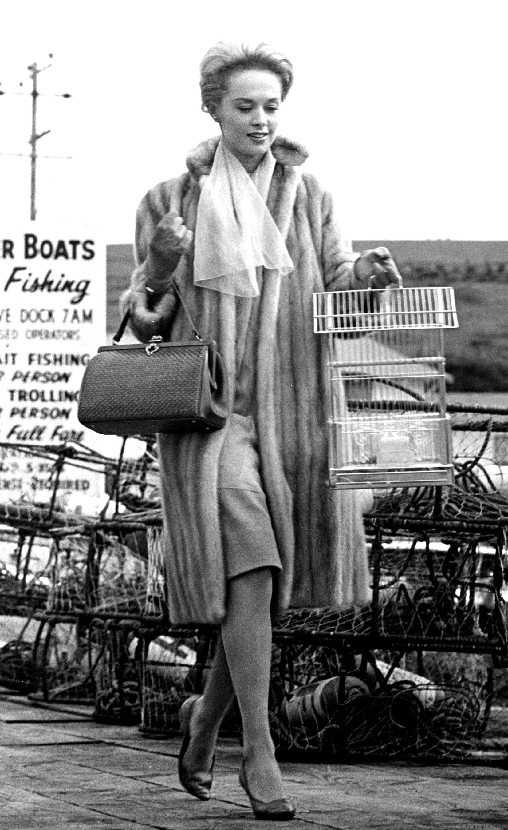 Melanie Daniels From Alfred Hitchcock S The Birds Your Halloween Costume Only Requires This 1 Warm Furry Piece Popsugar Fashion Photo 11