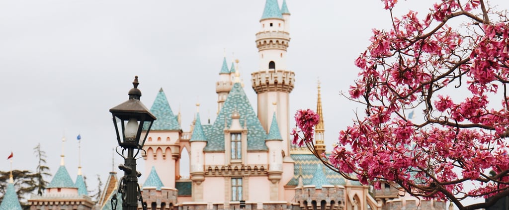 Is a Disneyland Pass Worth It?