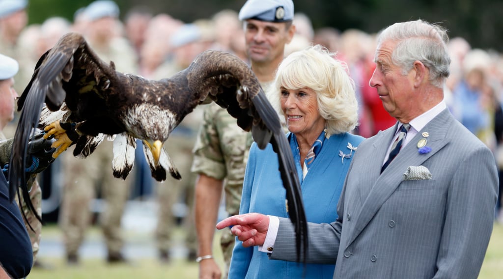 Prince Charles Camilla Freak Out at Eagle