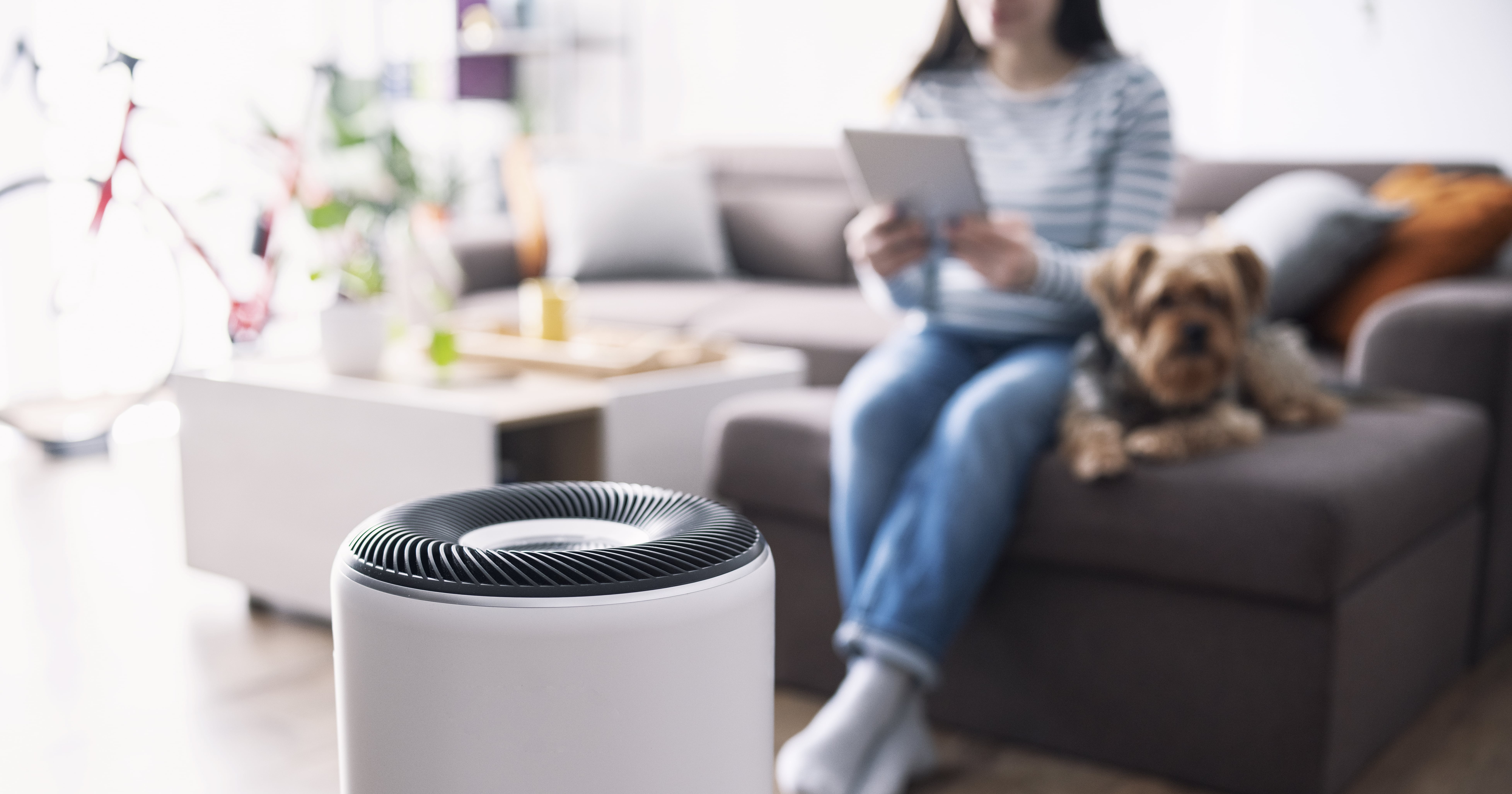Best Air Purifiers on Amazon
