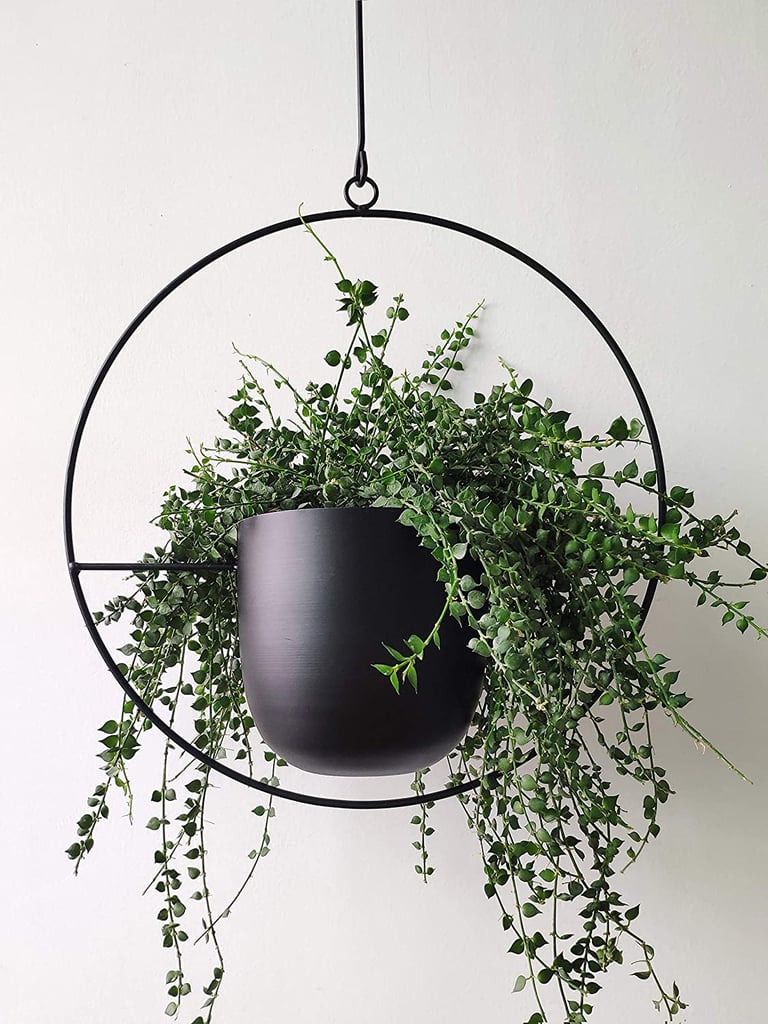 For Plant Parents: Riseon Boho Black Metal Plant Hanger