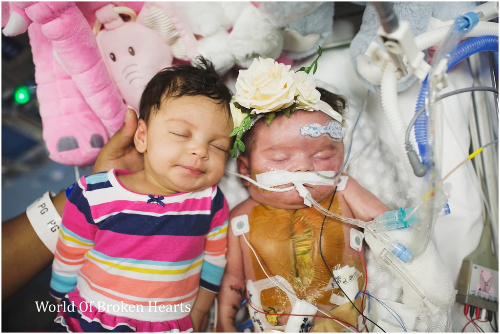 Welcome To Cub Scout Pack 23