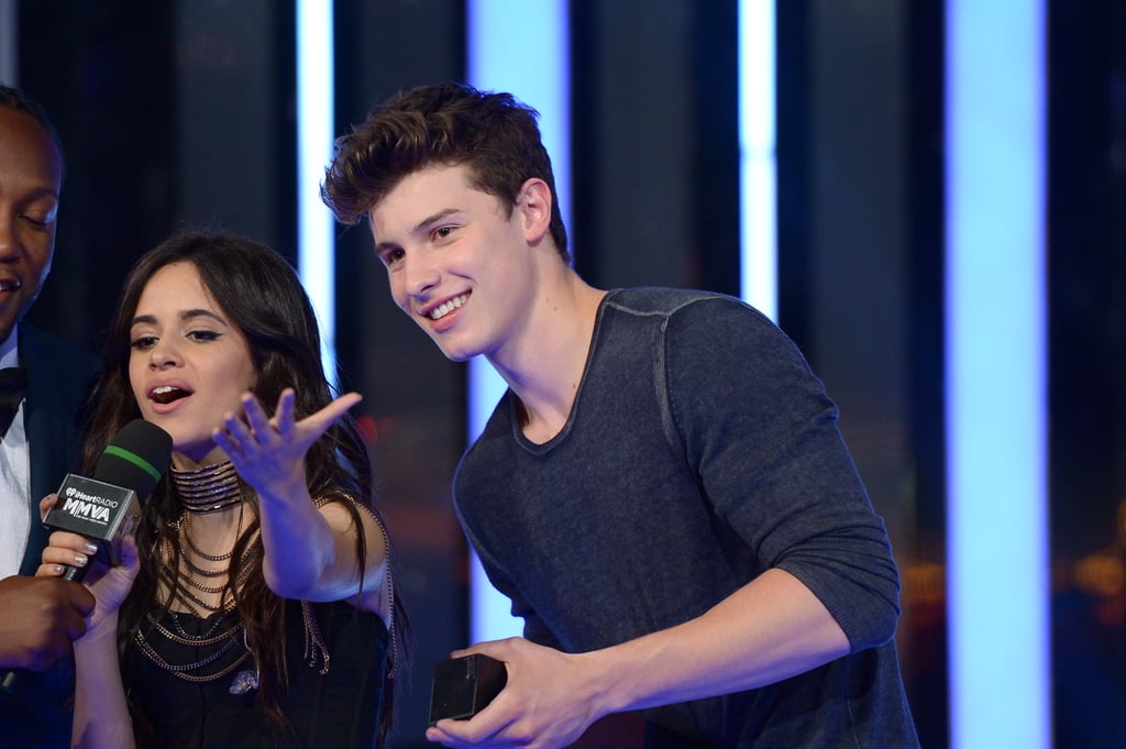 Camila Cabello and Shawn Mendes's Cutest Pictures