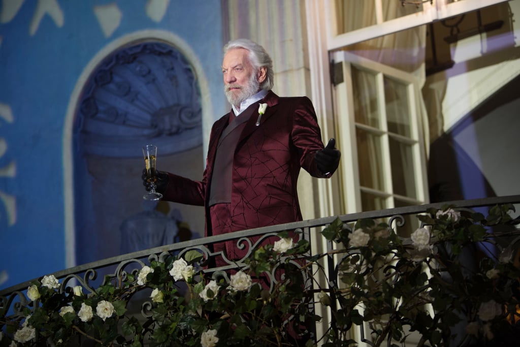 Hunger Games Characters Sorted In Hogwarts Houses Popsugar