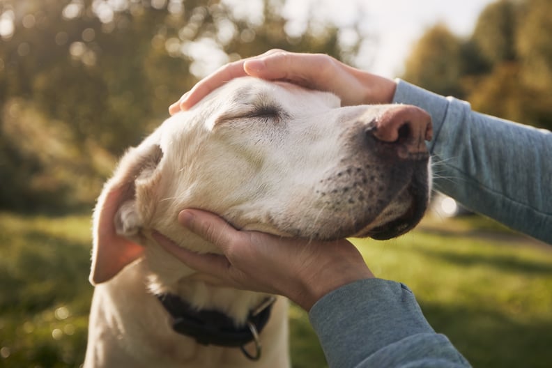 Winter Date Idea: Volunteer at a Shelter