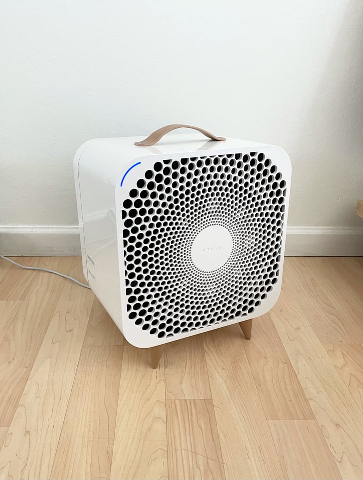 Blueair Blue Pure Purifying Fan Review Blueair Blue Pure Purifying Fan Review