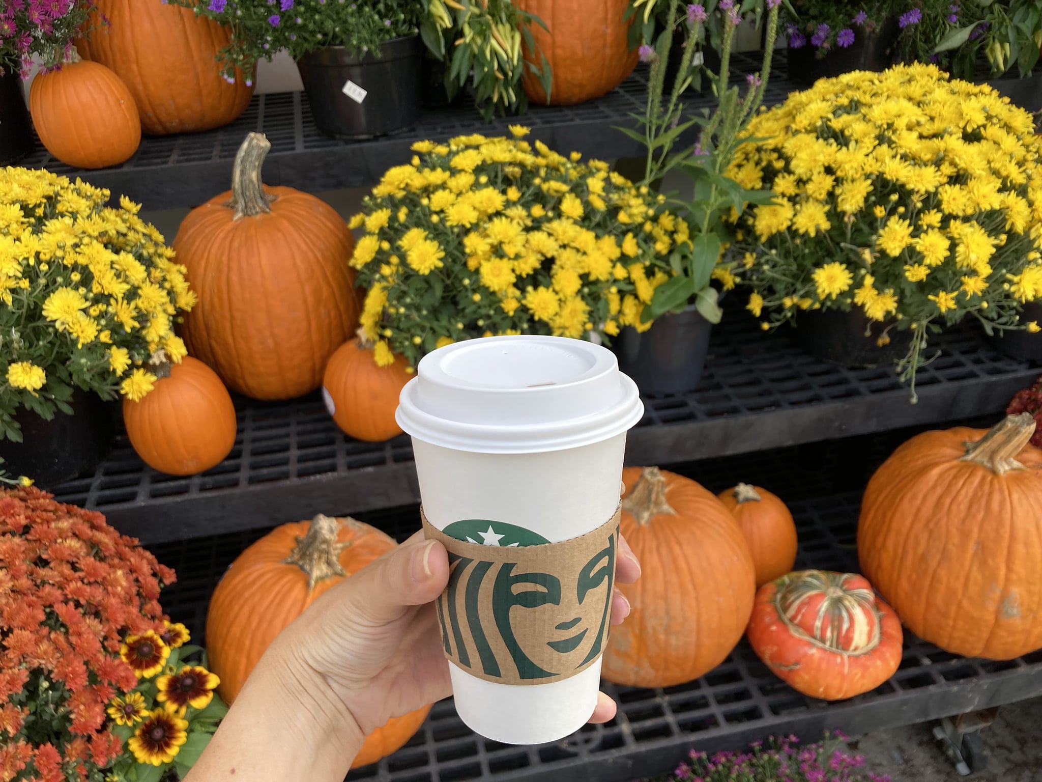 A reporter's pumpkin spice latte, purchased at a Starbucks in Baltimore. Researchers say the appeal of pumpkin spice-flavoured items is less about the taste than the smell and its associations. (Christina Tkacik/Baltimore Sun/Tribune News Service via Getty Images)