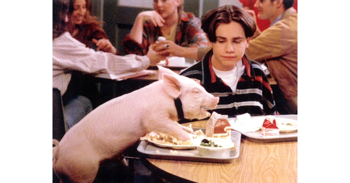 Even Shawn's Pets Were Adorable Shawn Hunter on Boy Meets World