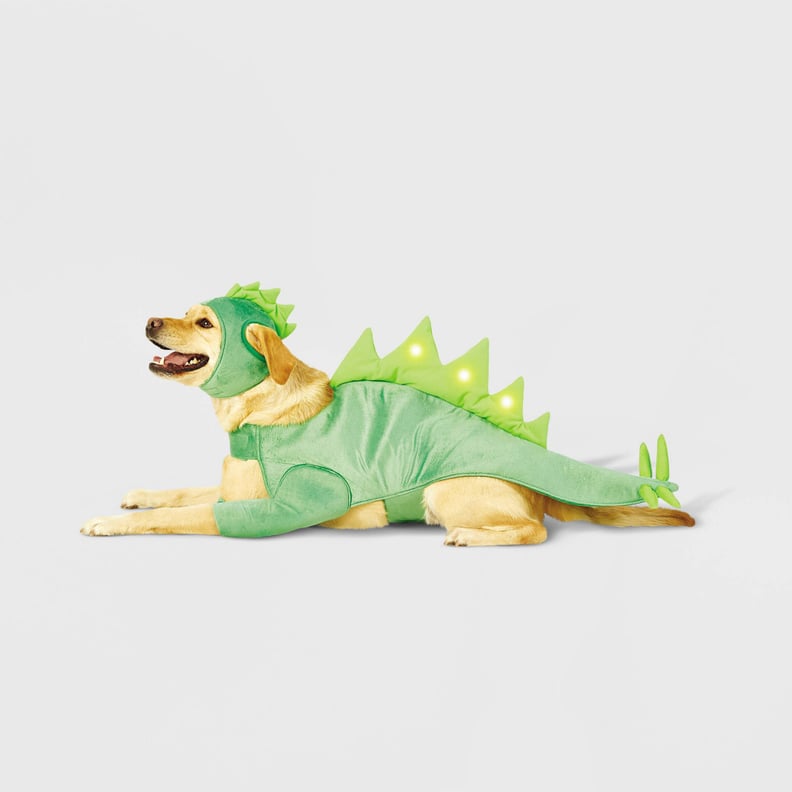 A Dinosaur: Hyde & EEK! Boutique LED Stegosaurus Dinosaur Dog and Cat Costume