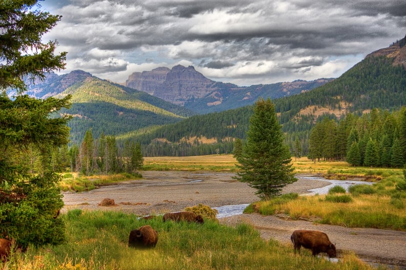 Yellowstone National Park