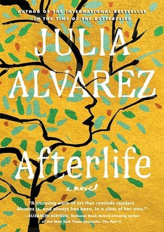 15 Novels by Dominican Authors Worth Reading | PS Latina