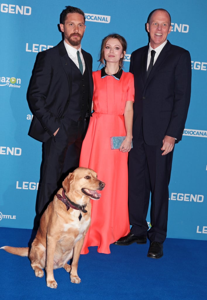 Tom Hardy's Dog at Legend Premiere