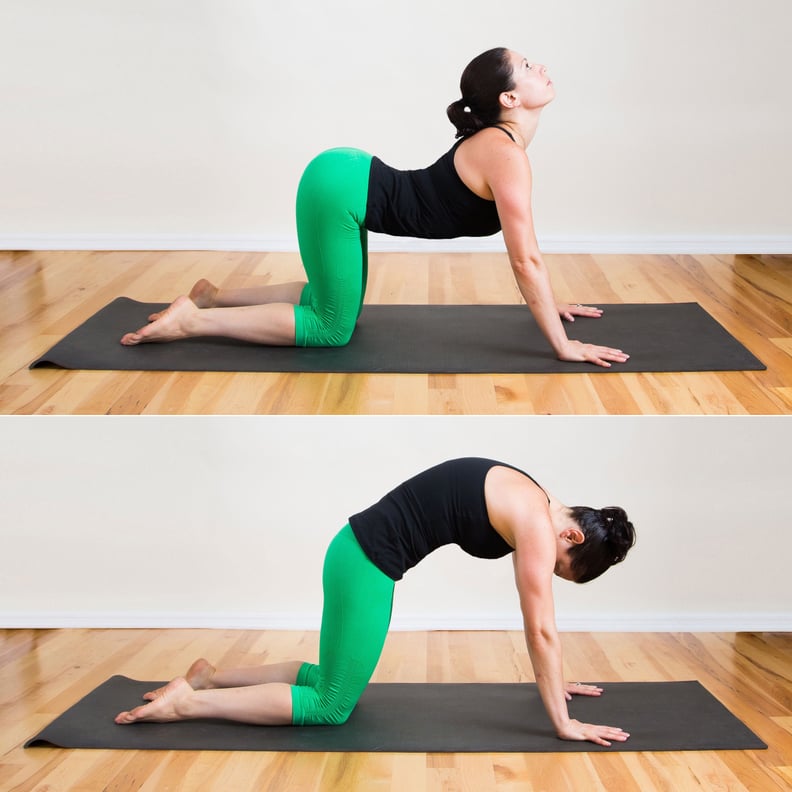 Cat Pose (Marjaryasana) and Cow Pose (Bitilasana)