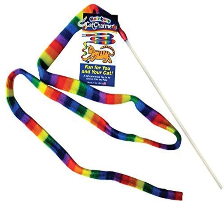rainbow cat charmer