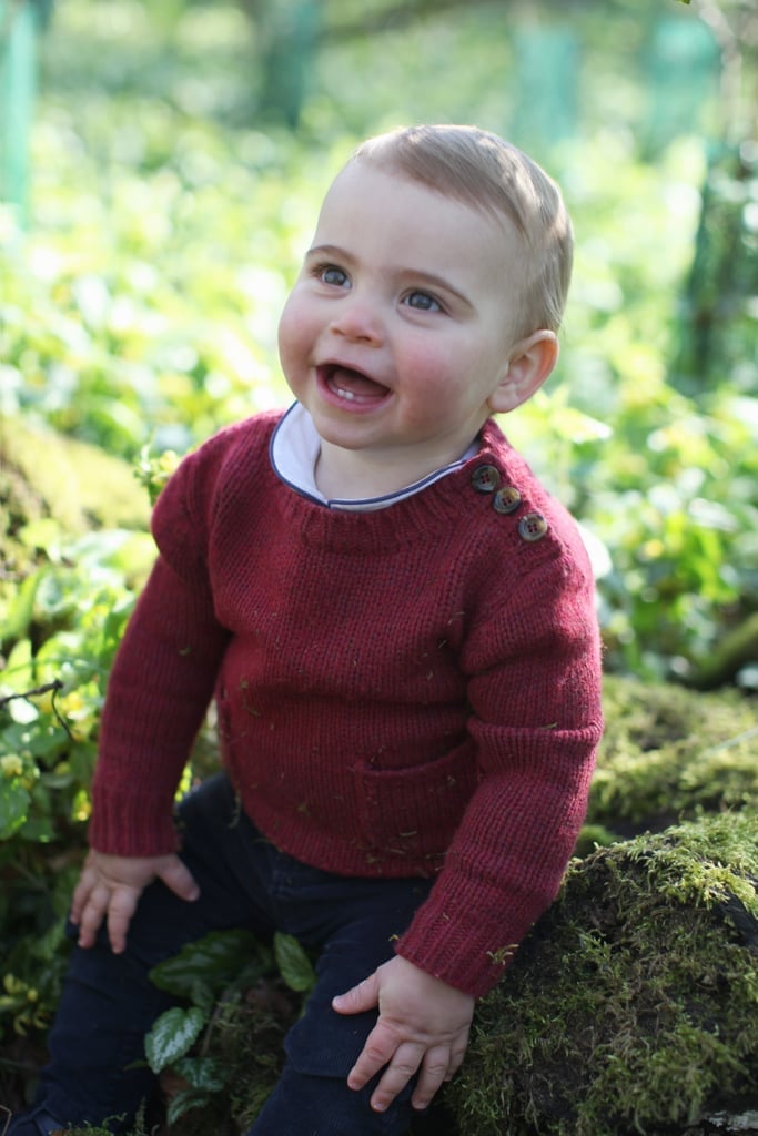 The Snugglebug: Prince Louis