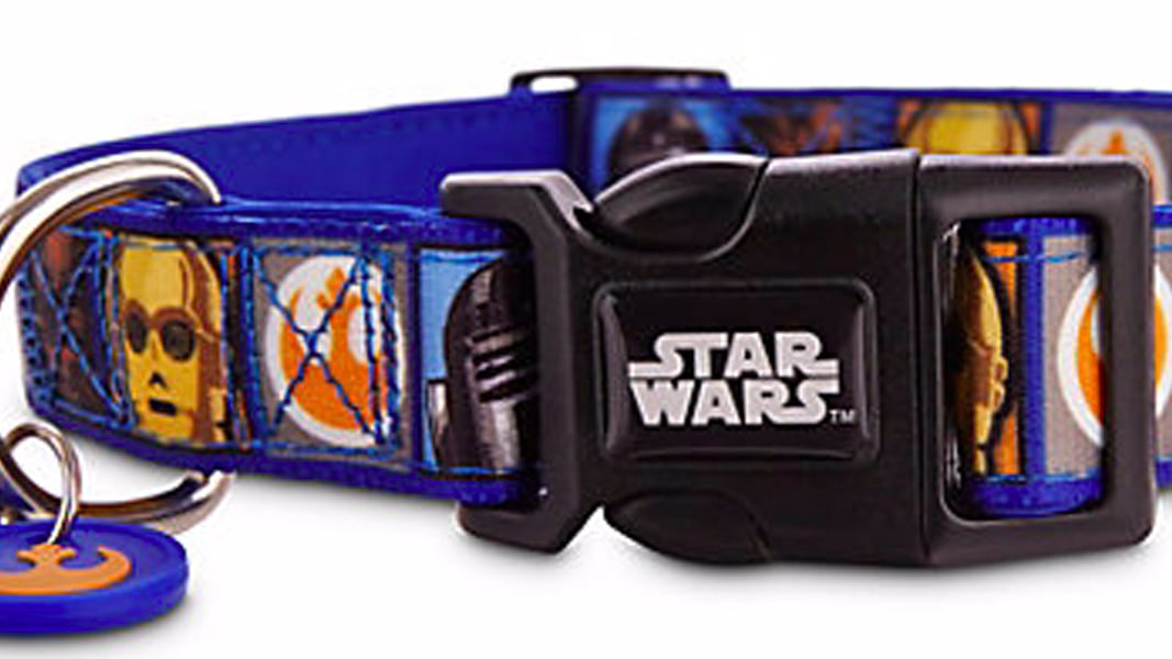 Chewbacca dog cheap collar petco
