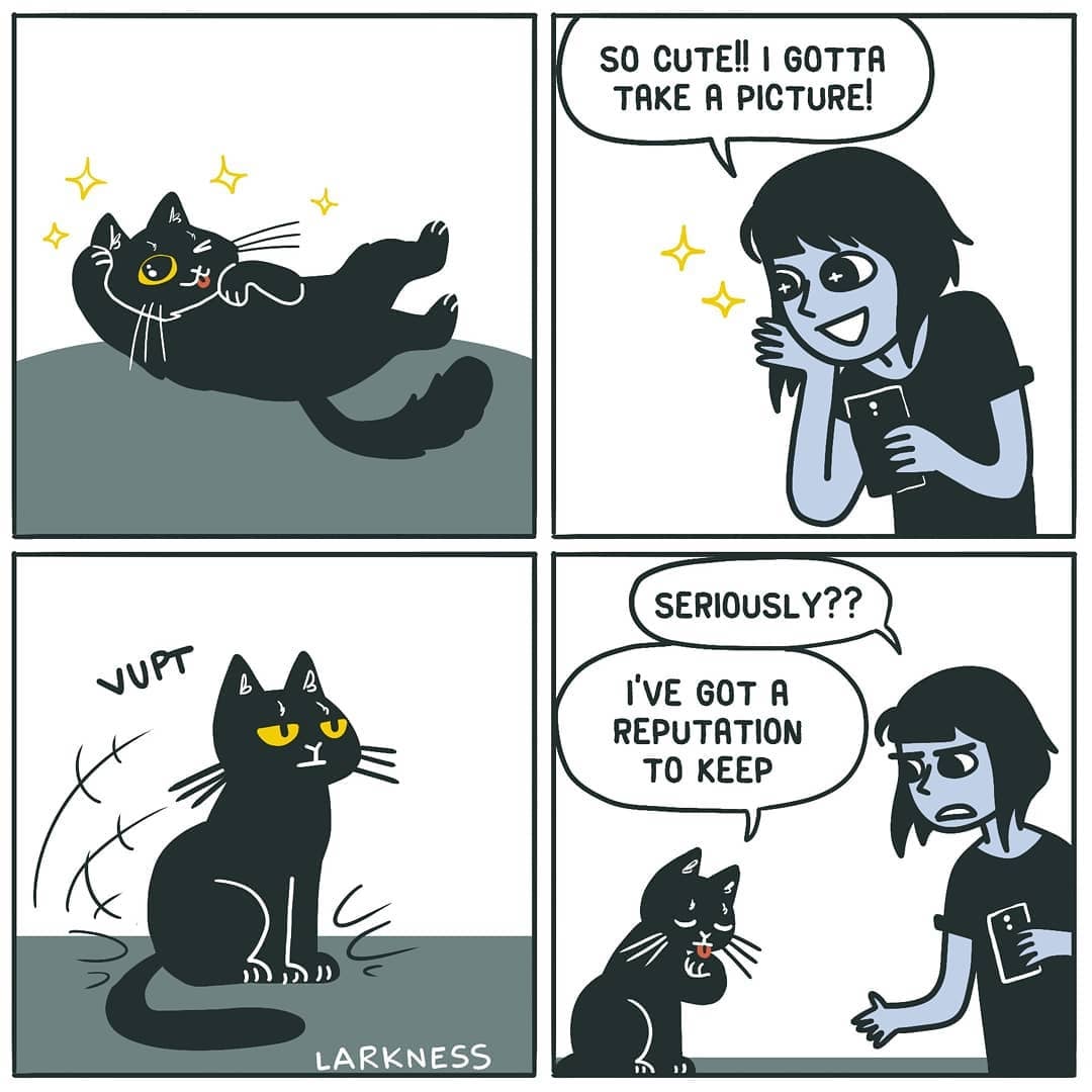 Illustrator S Funny Comics About What It S Like Owning A Cat Popsugar Pets