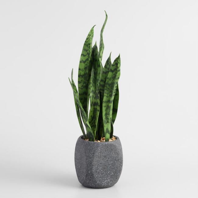 Faux Snake Plant Best Fake Plants That Look Real POPSUGAR Home Photo 102