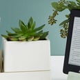 These Bedside Smartphone Vases Are the Prettiest New Addition to Your Bedroom