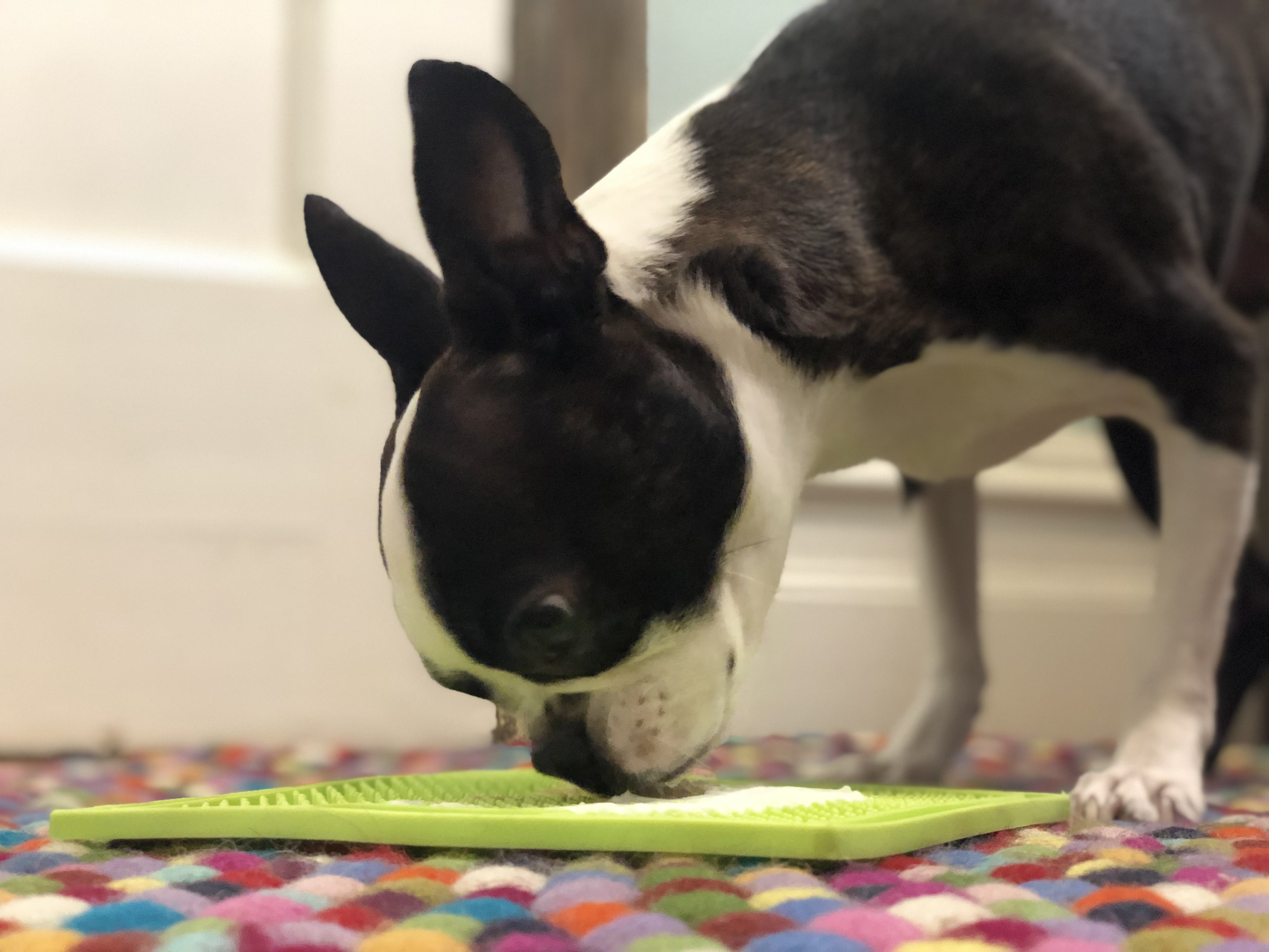 Ice Cream Dog Lick Mat  Calm, Distract, Entertain