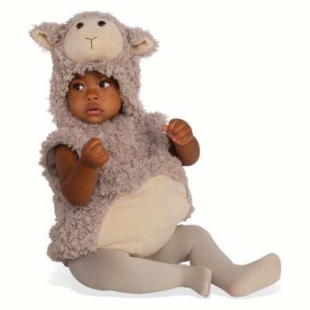 Baby Lamb