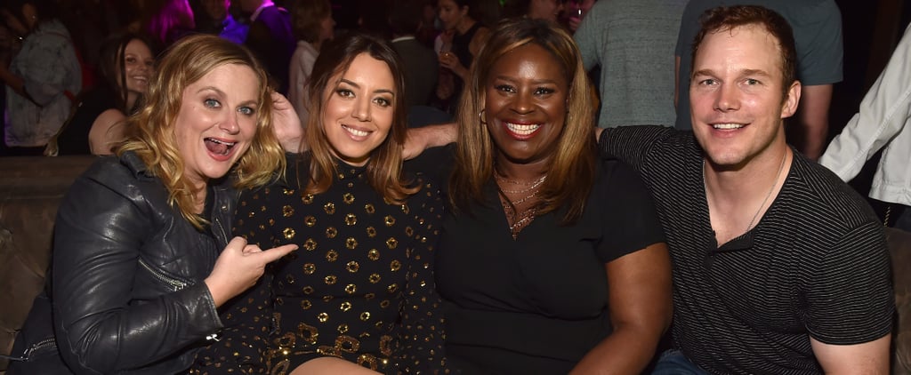 Parks and Recreation Reunion at Ingrid Goes West Premiere