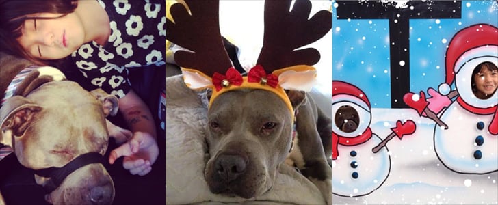 Autistic Girl and Service Dog Denied Picture With Santa