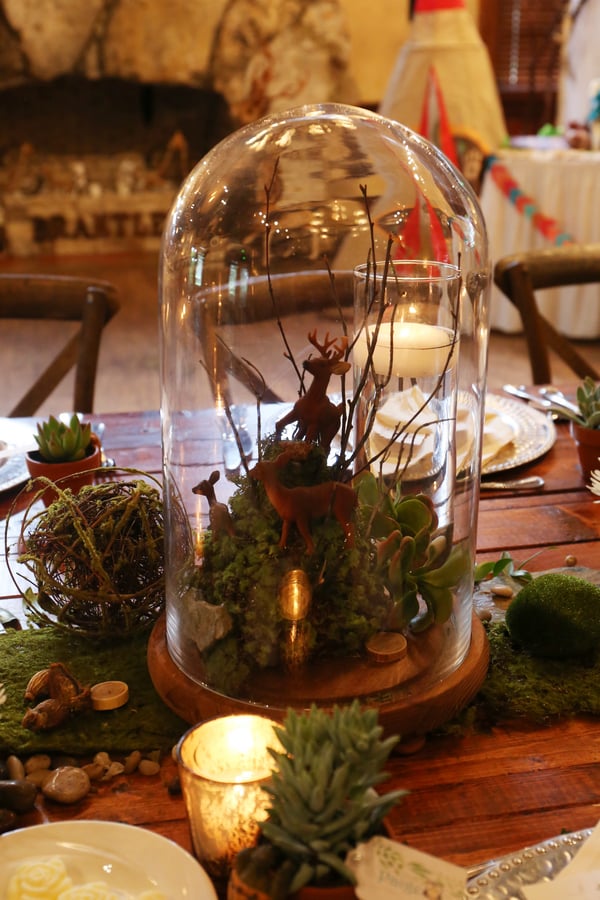 Shabby Chic Woodlands Baby Shower