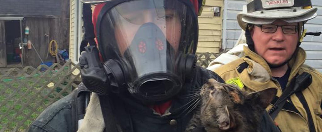Firefighters Rescue Cats From House Fire